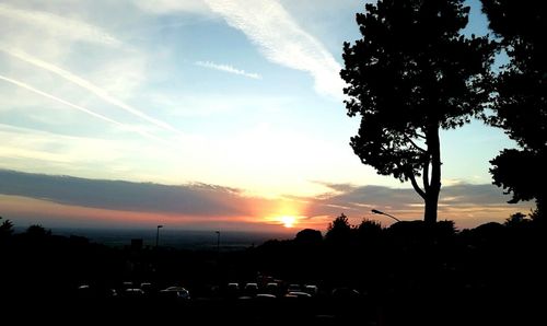 Silhouette of trees at sunset