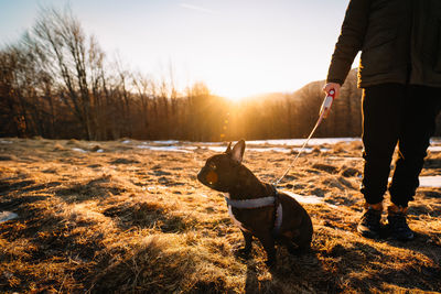 View of french bulldog dog and dog owner on field against sky at sunset during winter