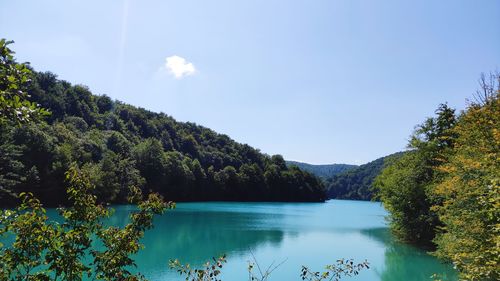 Scenic view of lake in forest against sky