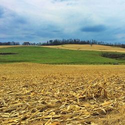 Scenic view of field against cloudy sky