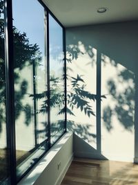 Reflection of trees on glass window at home