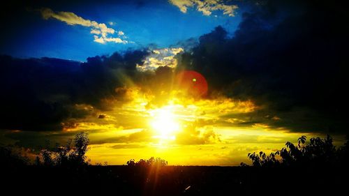 Silhouette of trees at sunset