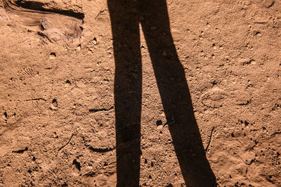 Low section of person standing on shadow