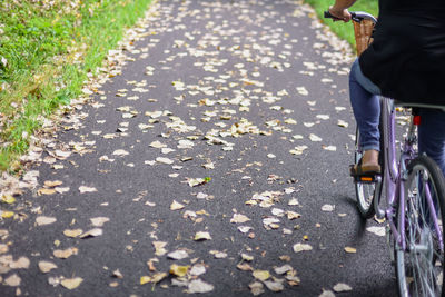 Low section of person with umbrella on street during autumn