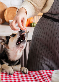 Midsection of man holding dog