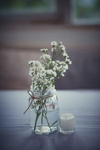 Close-up of flowering plant in vase on table