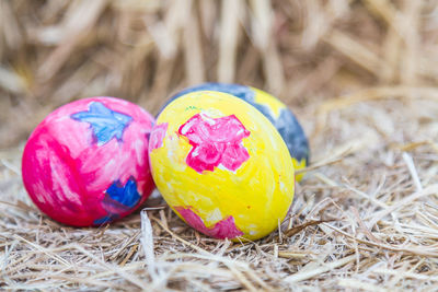Close-up of multi colored eggs in nest