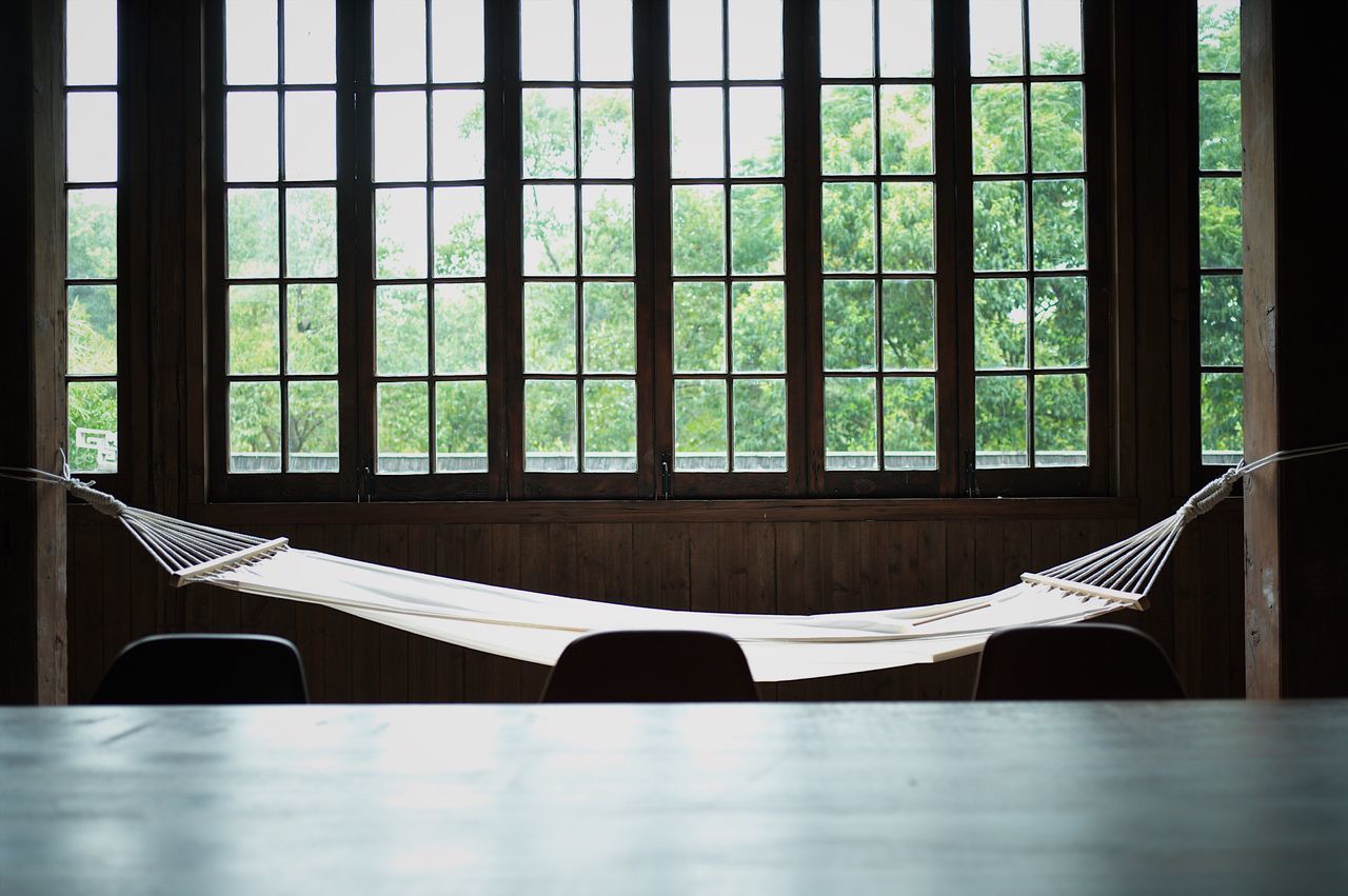 window, indoors, no people, day, close-up, nature