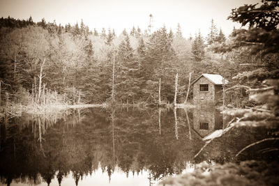 Reflection of trees in lake against sky