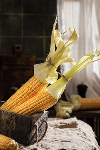 Close-up of corn