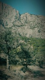 Scenic view of tree mountains against clear sky