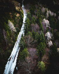 High angle view of waterfall amidst trees in forest