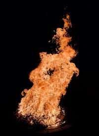 Close-up of bonfire against black background