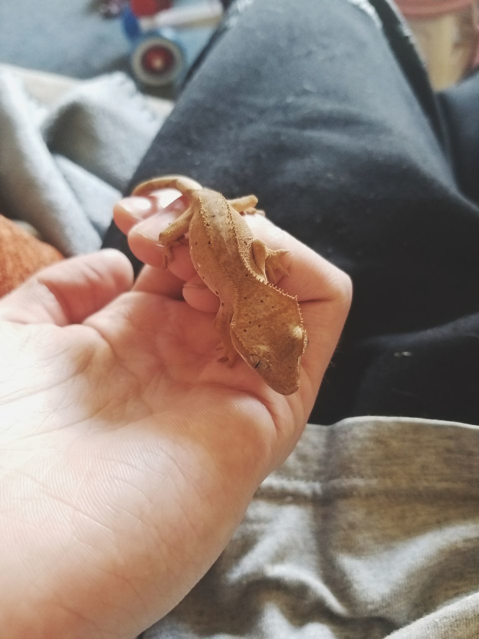 HIGH ANGLE VIEW OF HAND HOLDING BREAD