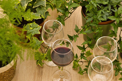 High angle view of drink on table