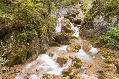 Scenic view of waterfall in forest