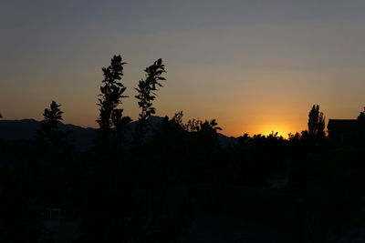 Silhouette trees against sky during sunset