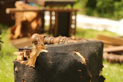 Close-up of rusty tree stump