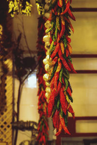 Close-up of red chili peppers hanging on rope