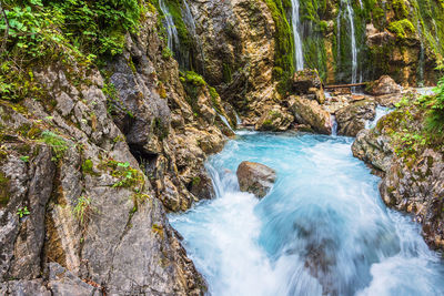 Scenic view of waterfall in forest