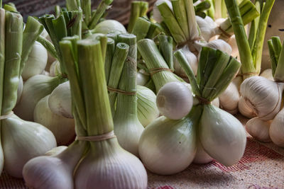 Detail shot of spring onions