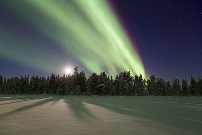 Scenic view of trees against sky at night during winter