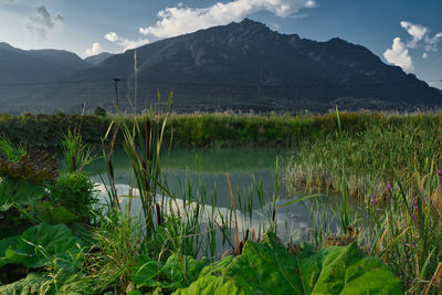 Scenic view of lake by mountains against sky