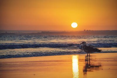 Scenic view of sea against orange sky