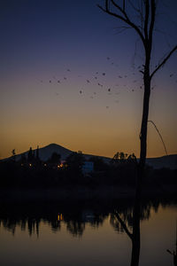 Silhouette birds flying over lake against sky during sunset