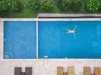 Bird flying over swimming pool against building