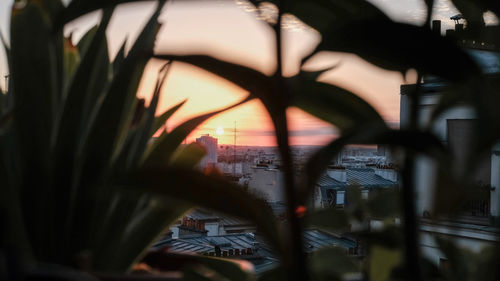 Close-up of cityscape in city during sunset