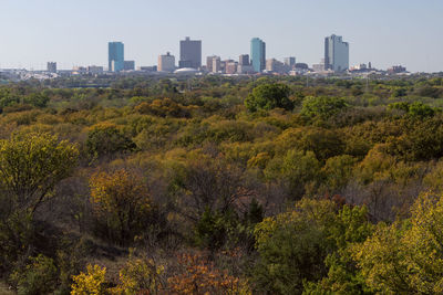 Plants growing on field