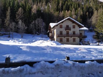 Snow covered field by houses and trees during winter