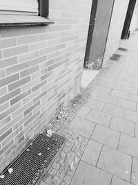 Footpath by wall of building