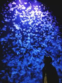 Close-up of silhouette man standing at night