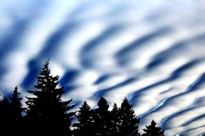 Low angle view of silhouette trees against sky