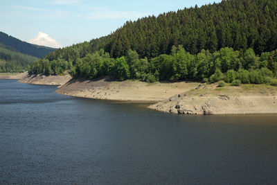 Scenic view of river amidst trees against sky