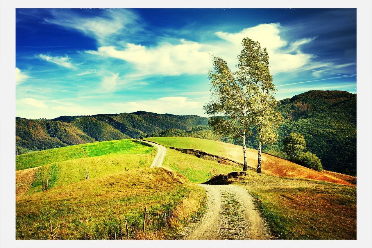 transfer print, auto post production filter, sky, landscape, tranquility, tranquil scene, scenics, mountain, beauty in nature, cloud - sky, nature, green color, grass, tree, cloud, plant, hill, growth, field, non-urban scene