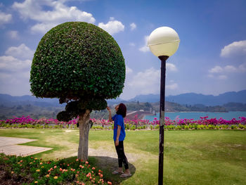 Rear view of woman standing by plants against sky