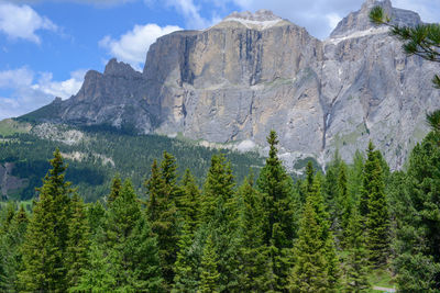 Scenic view of pine trees and mountains against sky