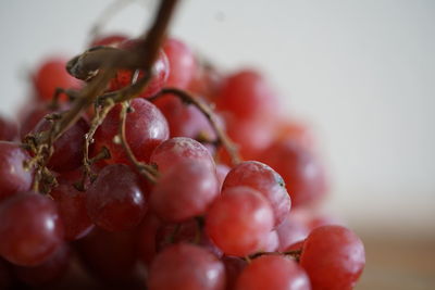 Close-up of grapes