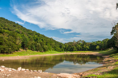 Scenic view of lake by trees against sky