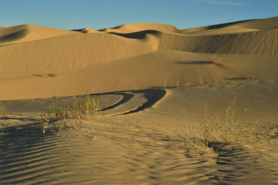 Sand dunes and natural wind-blown and off road vehicle tire track  imperial sand dunes , california