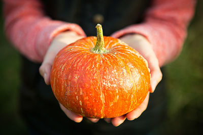 Close-up of hand holding pumpkin