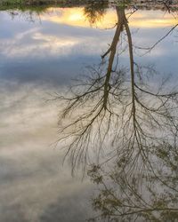 Bare tree against sky during sunset