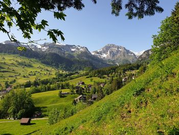 Spring day in the rural mountain valley of toggenburg with the snow-capped peaks. scenic view, natur