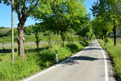 Road amidst trees against sky