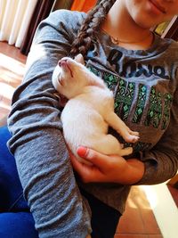 Midsection of woman holding dog