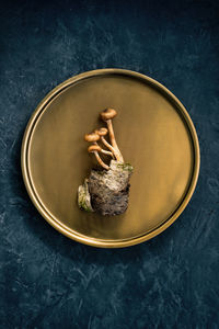 Decorative composition of mushrooms, birch bark and forest leaves on a copper plate.