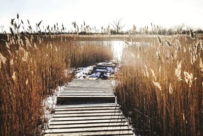 Scenic view of lake against sky during winter